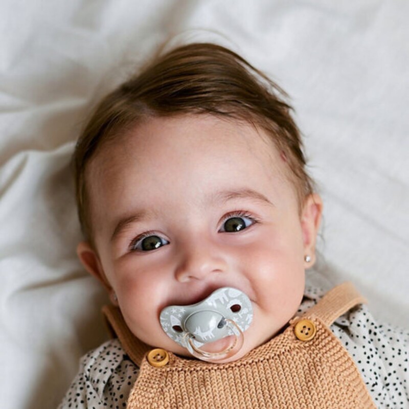 Set x2 chupetes SX Pro fisiológicos +18 meses Fox Gris