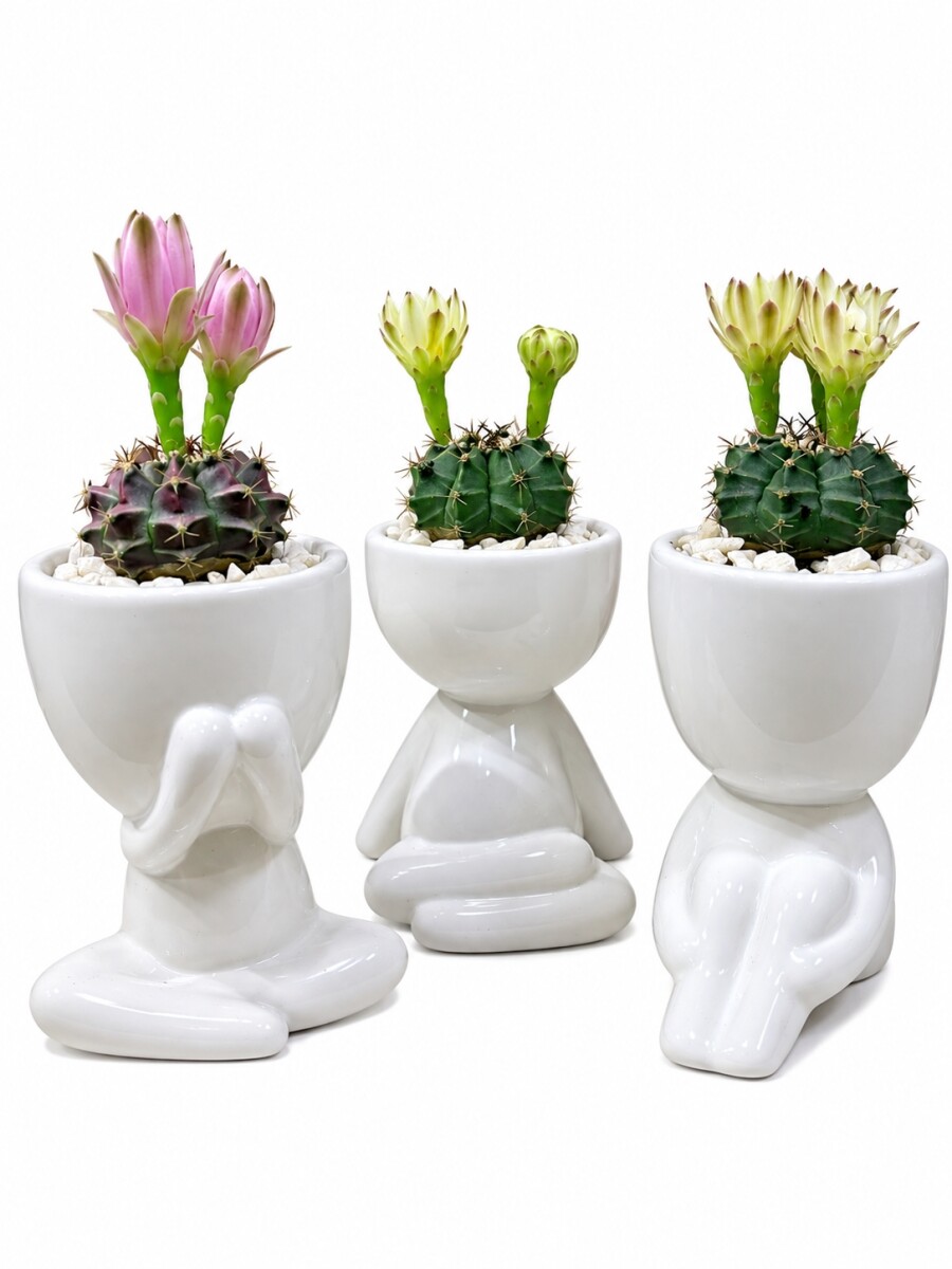 LITTLE PEOPLE CON CACTUS BLANCO