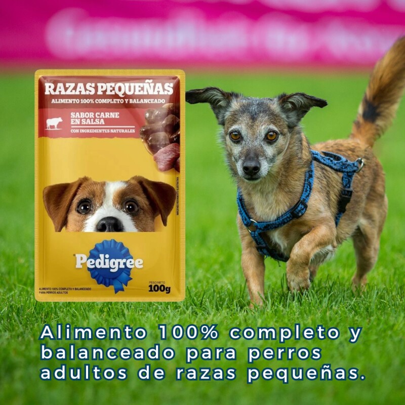 PEDIGREE EN SALSA RAZAS PEQUEÑAS CARNE 85 GRAMOS PEDIGREE EN SALSA RAZAS PEQUEÑAS CARNE 85 GRAMOS
