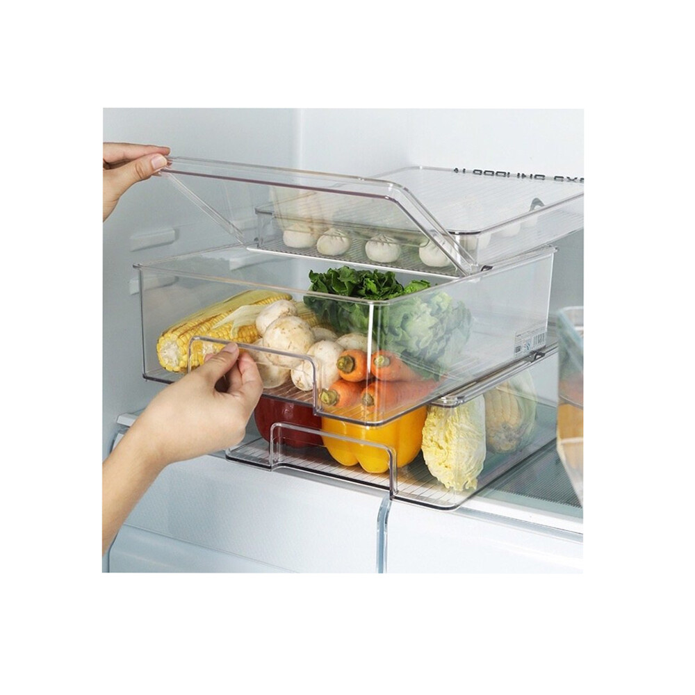 CAJA ORG C/ TAPA TRANSPARENTE PLÁSTICO HO-008