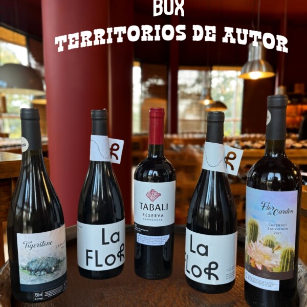 Box Territorios de Autor Box Territorios de Autor