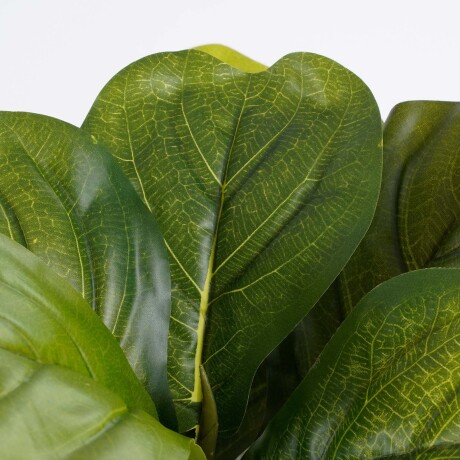 PLANTA POLIESTER VERDE FICUS LYRATA
