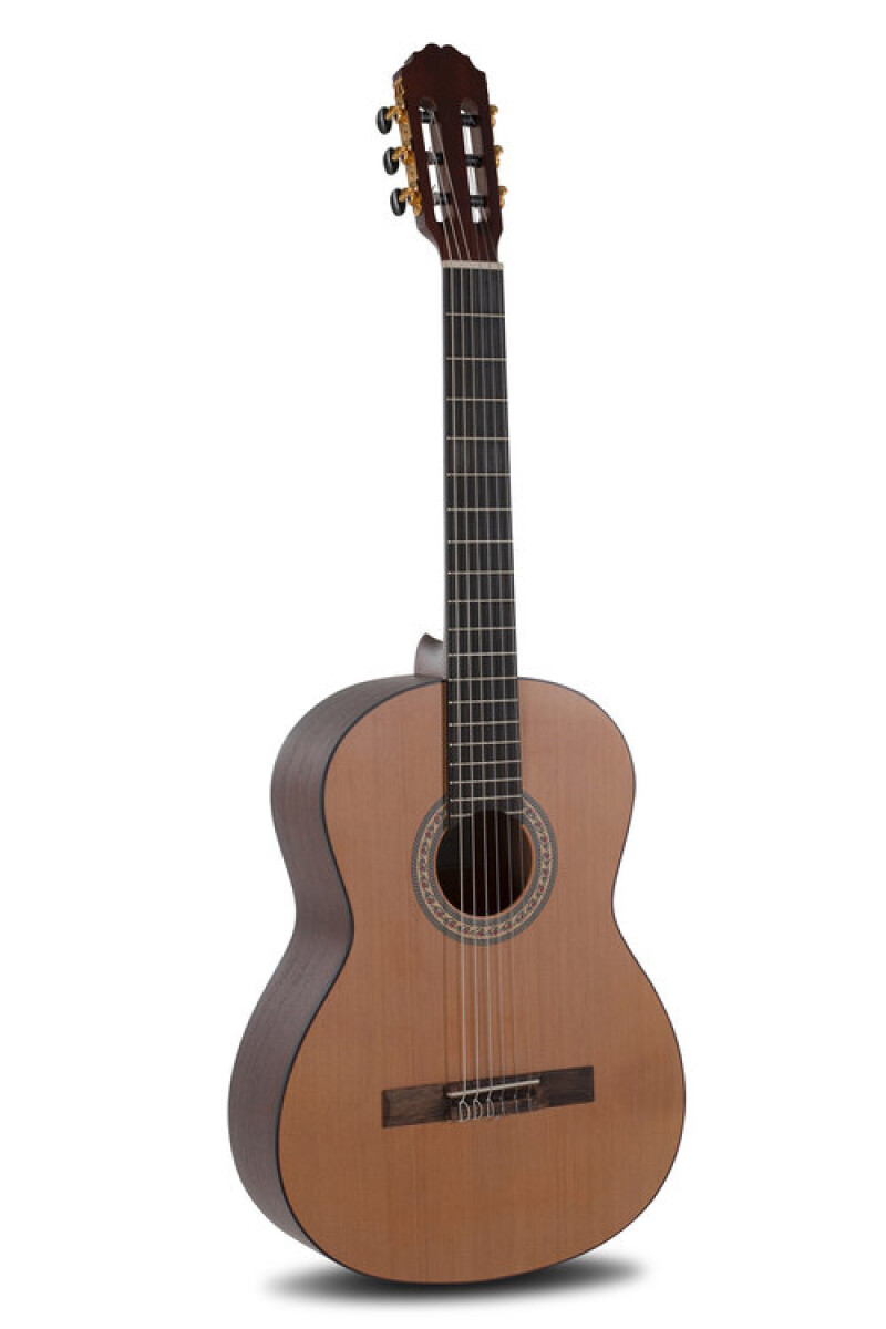 Guitarra Caballero by MR Principio Serie C CA-CM 4/4 