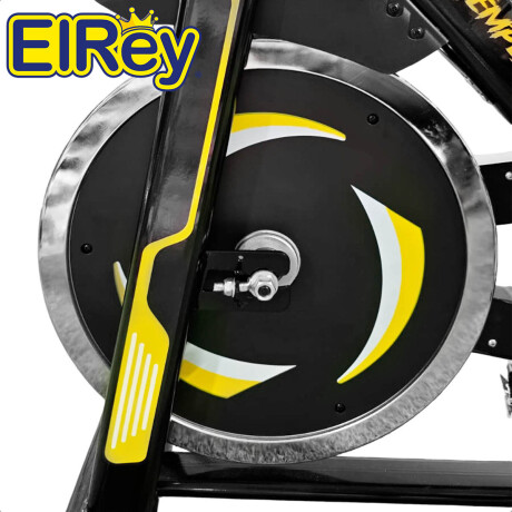Bicicleta Spinning Expert Fitness Tempest 13Kg Profesional Regulable Pulsómetro Gym002019
