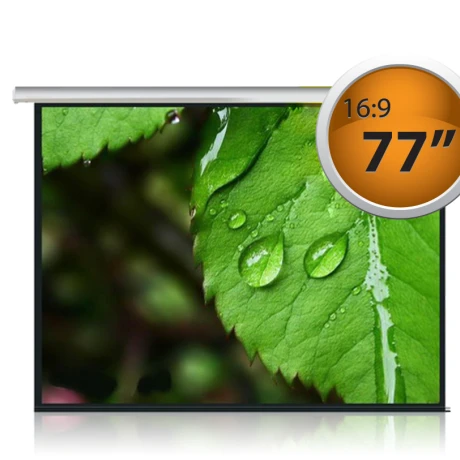 Pantalla para Proyector 77'' 16:9 001