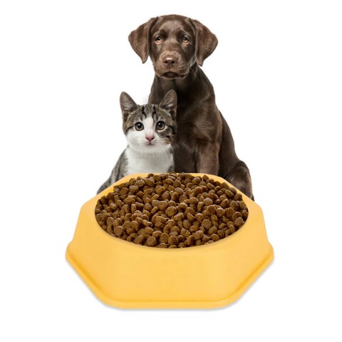 Tazon De Comida Agua Perro Gato Mascotas Comedero Calidad Variante Color Amarillo