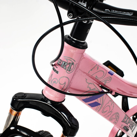 Bicicleta R20 Suspensión, Freno De Disco El Rey Rosado