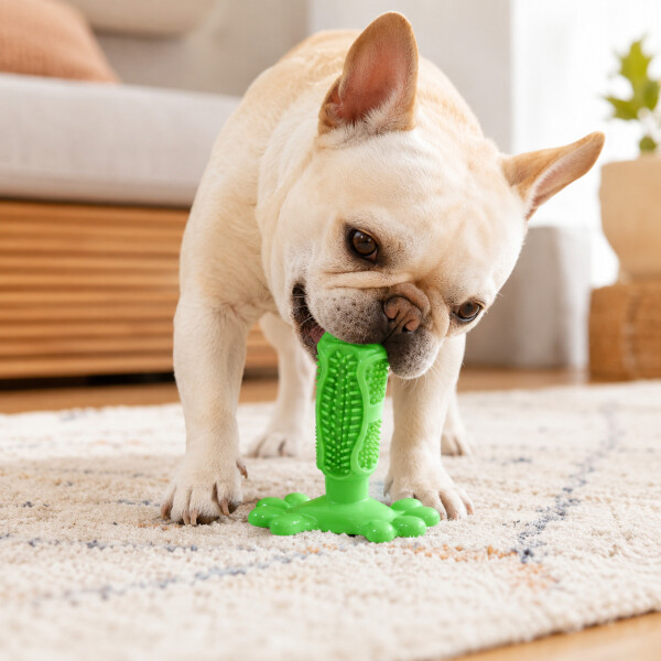Juguete Para Perros Dental Ventosa Anti Sarro Resistente Color Verde