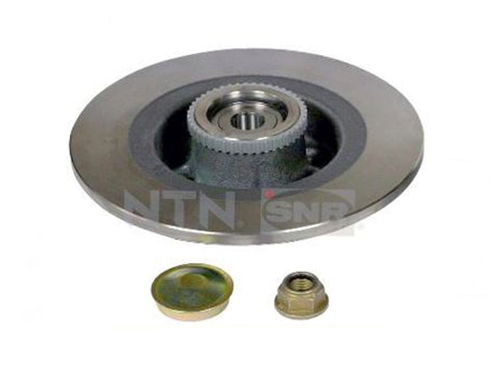 Rueda Trasera Disco Con Rodamiento Renault Scenic 98-25 