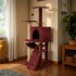 Gimnasio Rascador Para Gato Torre Casa Hamaca Escalera Atrix Variante Color Bordo