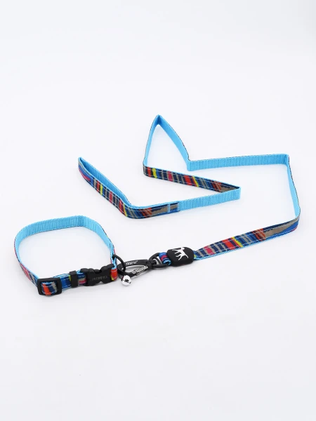 SET COLLAR CON CORREA MULTICOLOR