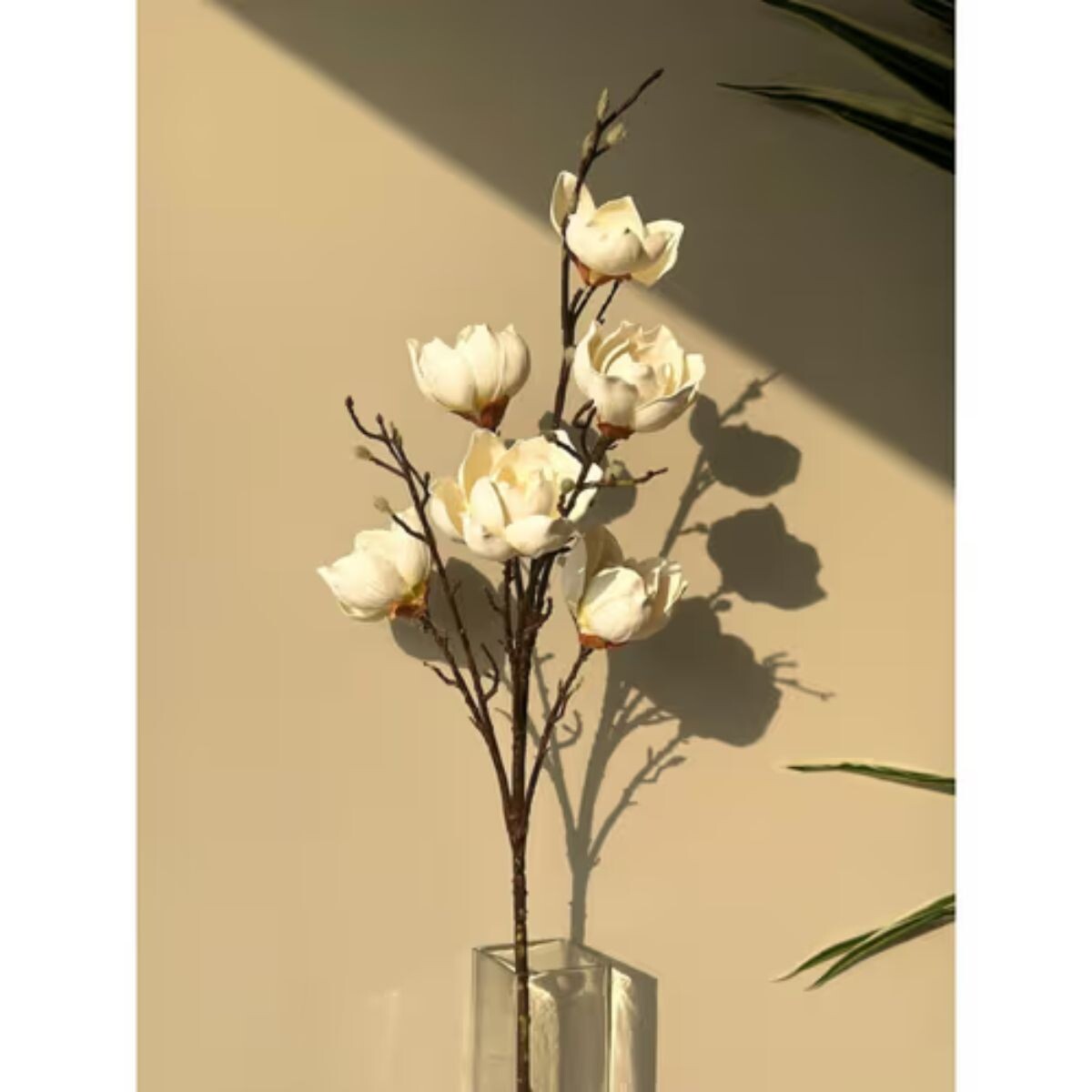 Rama de Magnolias Blancas x6 