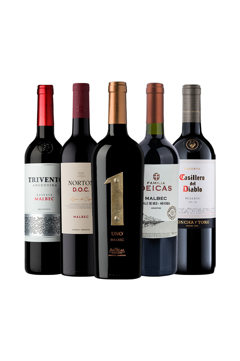 Pack Bacán Selección Malbec Esencial x5 vinos Malbec 