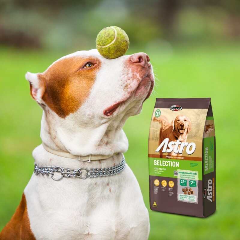 ASTRO PERROS ADULTOS SELECTION 14 + 3KG + PELOTA DE REGALO ASTRO PERROS ADULTOS SELECTION 14 + 3KG + PELOTA DE REGALO