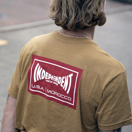 REMERA ETNIES X INDEPENDENT Tobacco