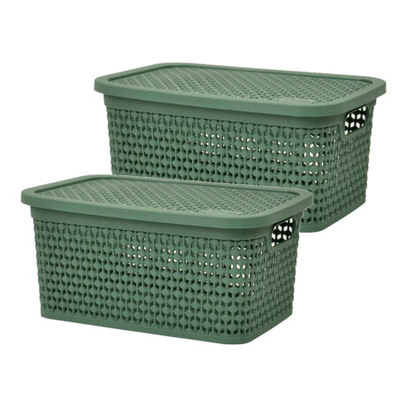 Set x2 Caja simil rattan 2,5 Lts (23x15,5x11cm) VERDE