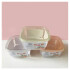 Contenedor transparente 16 x 16 x 8cm Contenedor Transparente 16 X 16 X 8cm