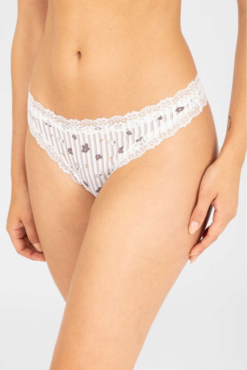 Colaless flower stripe - Marfil 