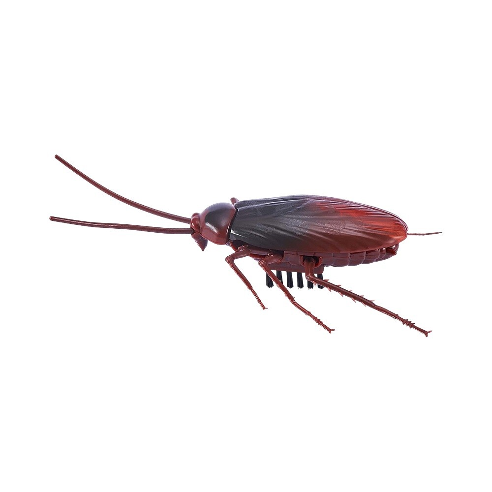 Cucaracha Robótica ZURU Robo Alive Crawling Cockroach ROBO ALIVE CUCARACHA