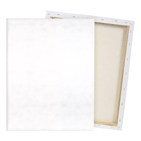 Pack X 5 Lienzo Bastidor 40x50m Cuadro Pintura Oleo Blanco Blanco