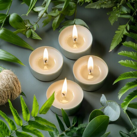Velas de Té Blancas con Base Metálica – Caja de 50 Unidades Velas de Té Blancas con Base Metálica – Caja de 50 Unidades