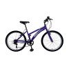 Bicicleta Baccio Alpina Lady Rodado 26 Montaña Con 6 Cambios Shimano Violeta