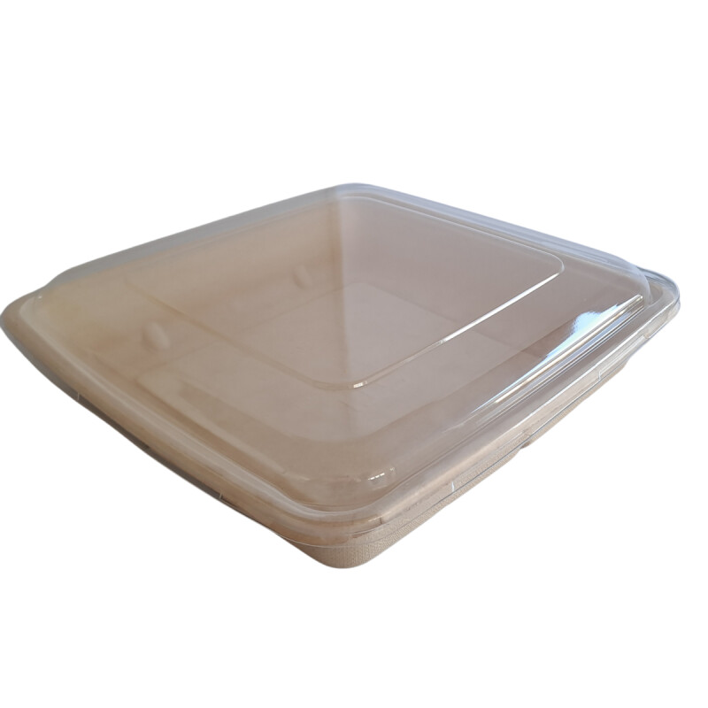 BANDEJA BAGAZO CUADRADA 230*230*40mm 49oz- 50 uds (BAN5017) Bandeja Bagazo Cuadrada 230*230*40mm 49oz- 50 Uds (ban5017)
