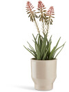 Planta artificial RASMUS A45cm flores Planta artificial RASMUS A45cm flores