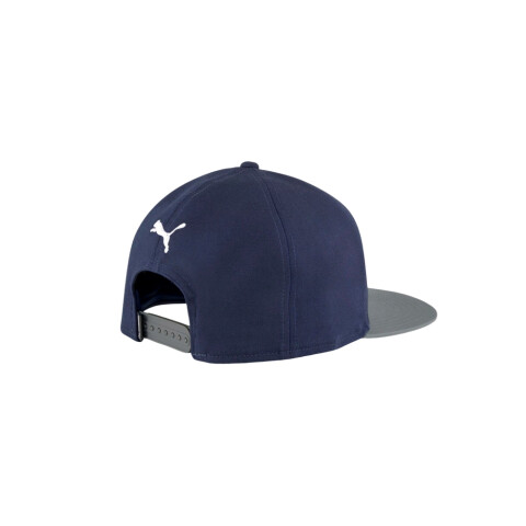 Gorra PUMA FLATBRIM Blue