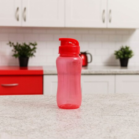 BOTELLA PLASTICO 500ML Rojo