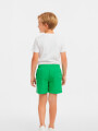 Short Rufo Verde Claro