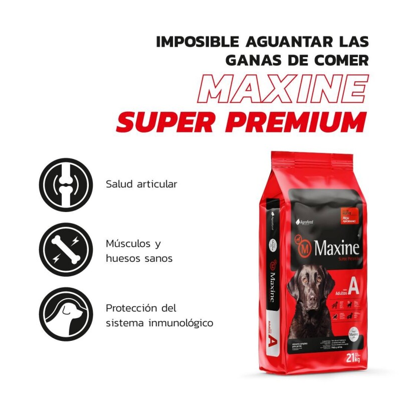 MAXINE PERROS ADULTOS 21 KG