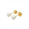 Abridores Perla española- Oro Bajo- Perla española-AB8028 conperla