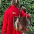 Summer Bag Chocolate / Chocolate
