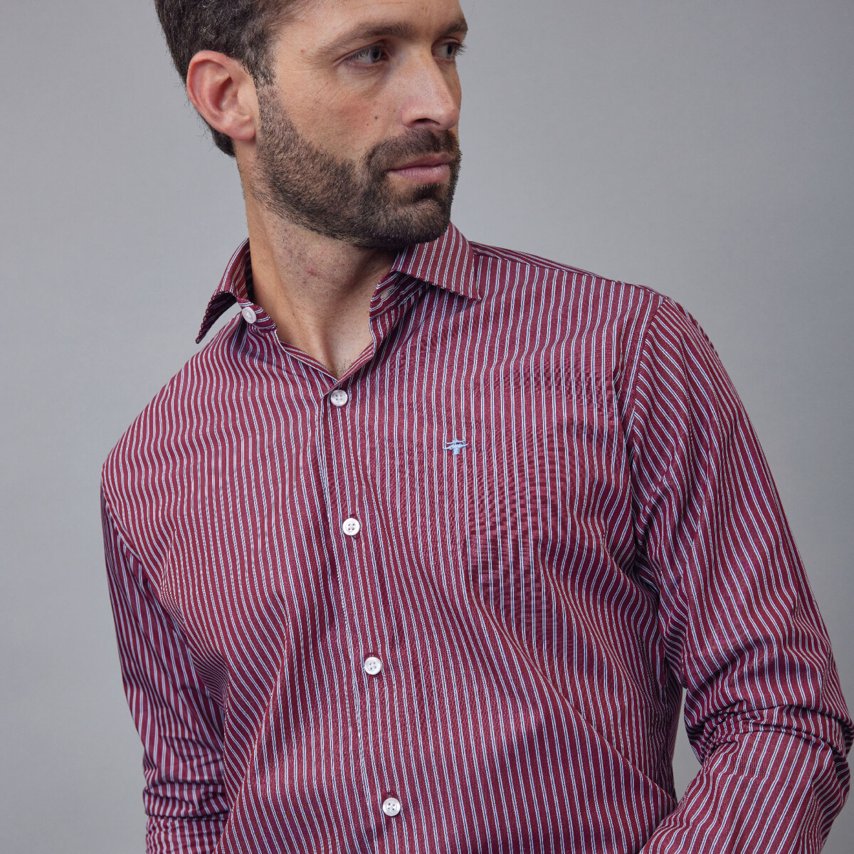 Camisa Luxury - bordo a rayas 