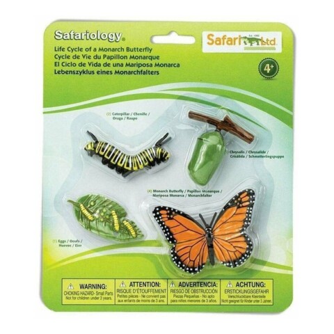 Safari Ciclo De Vida Mariposa Monarca Juguete Didáctico Safari Ciclo De Vida Mariposa Monarca Juguete Didáctico