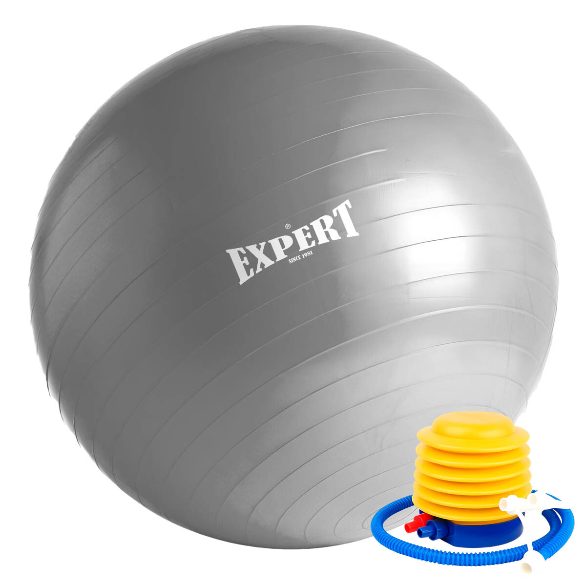 Pelota De Pilates 75cm Fitness Yoga Gym + Inflador - Plateado 