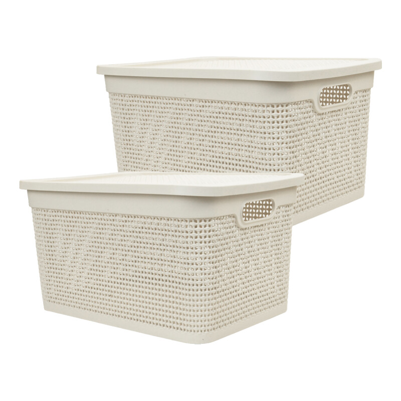 Set x2 Caja simil ratán 25 lts ARENA