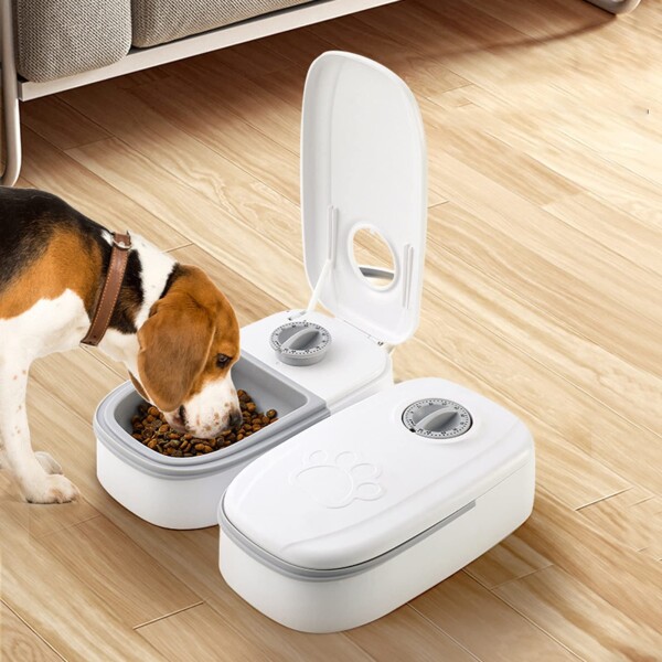 Dispensador De Alimento Timer Para Mascotas Gatos Perros Color Variante Gris