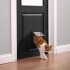 Puerta Para Ingreso Salida Mascotas Perro Gato Ventana L Variante Color Blanco