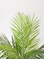 Planta Palmera Areca 80cm Color Unico