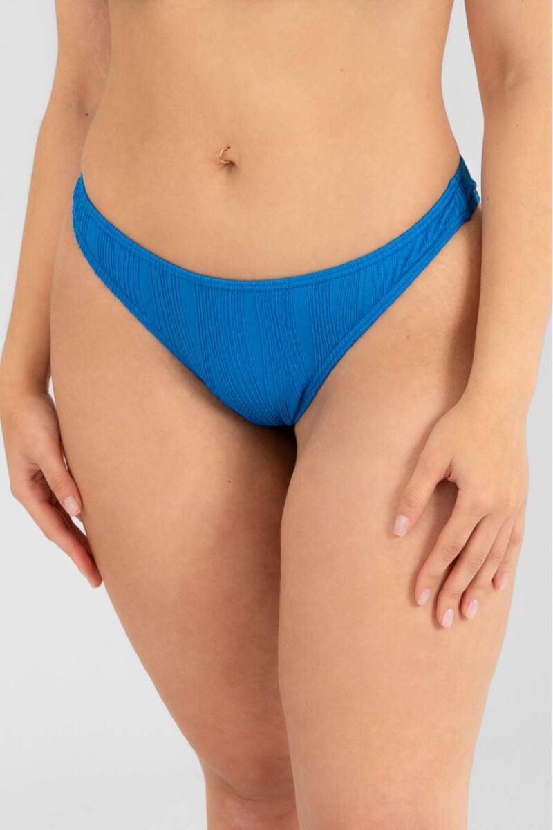 Vedetina basica - Blue tech 