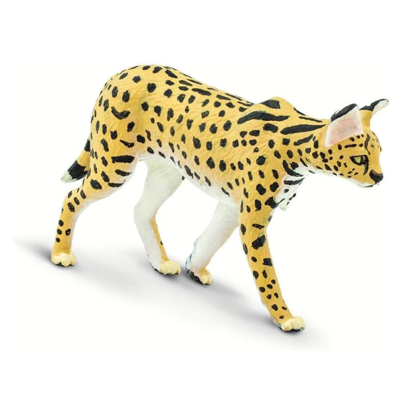 Safari - 100237 - Fauna Silvestre, Serval Safari - 100237 - Fauna Silvestre, Serval