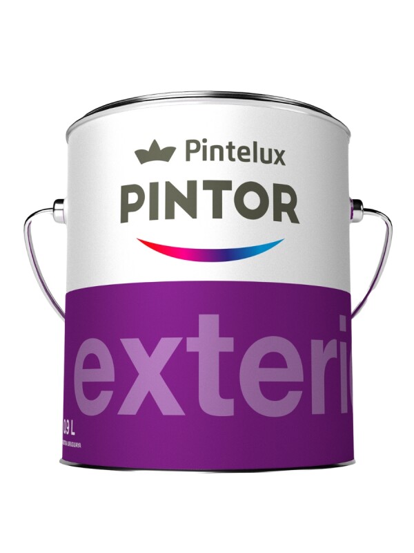 PINTOR MULTI PROFESIONAL BASE T 3.6 LTS N/A