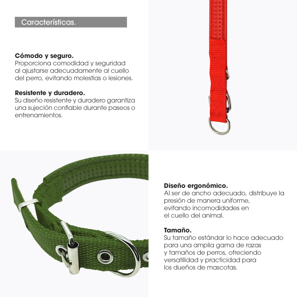 Collar 2cm Perros Gatos Interior Acolchado Color verde