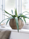 Almohadón NATTLILJA 45x45 rayas marrón Almohadón NATTLILJA 45x45 rayas marrón