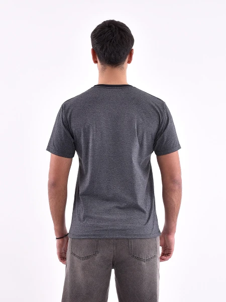 REMERA VARSITY REGULAR ESTAMPADO 3