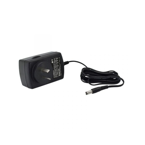 CARGADOR DE BATERIA LION DOWEN PAGIO Cargador De Bateria Lion Dowen Pagio