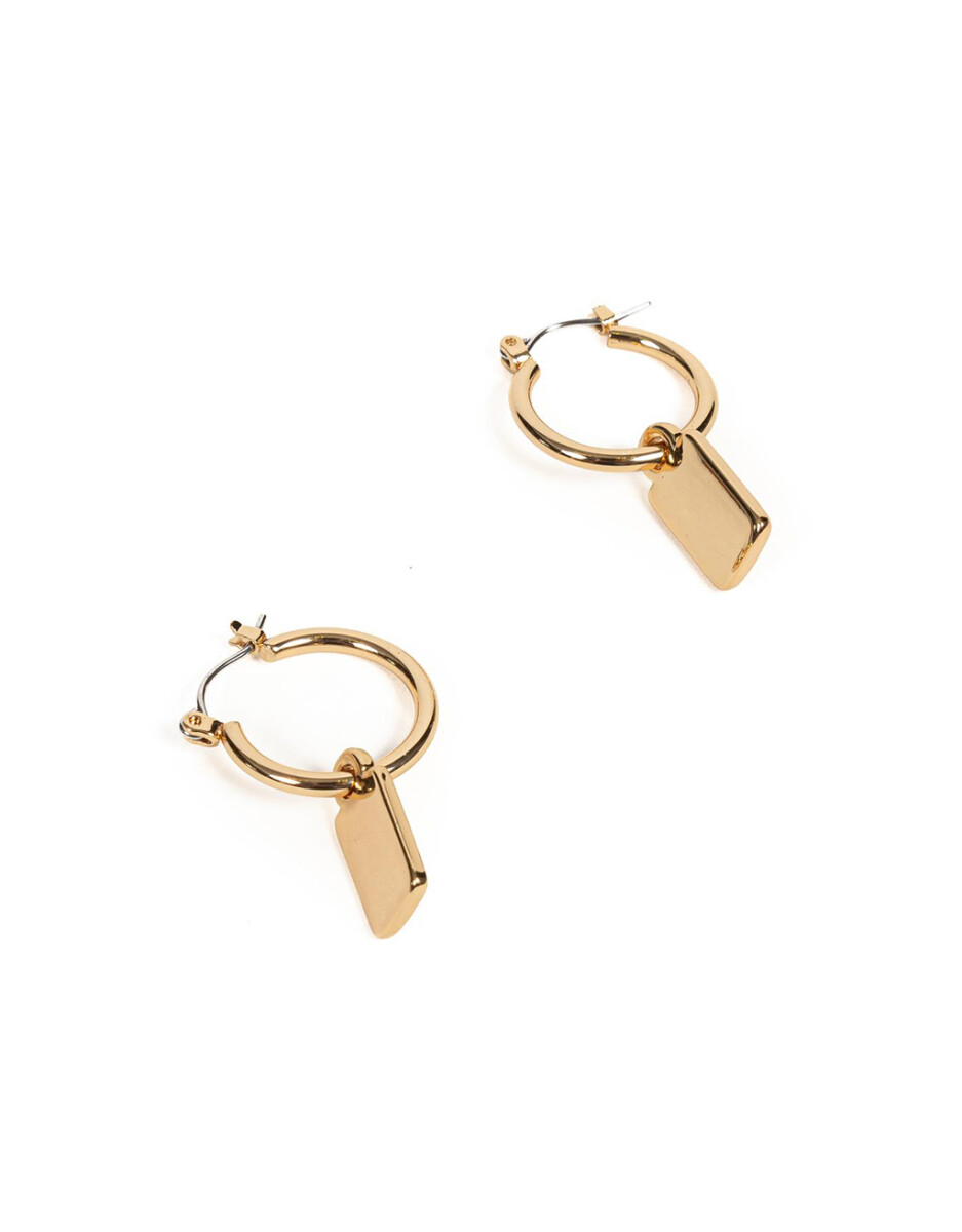 Aros Argollas Bañadas En Oro 