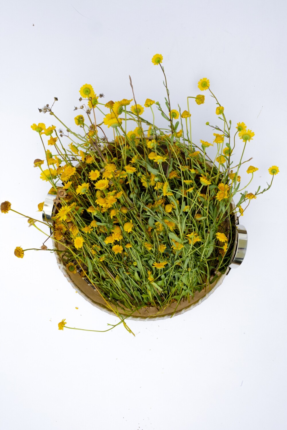 Round Table Basket Grande